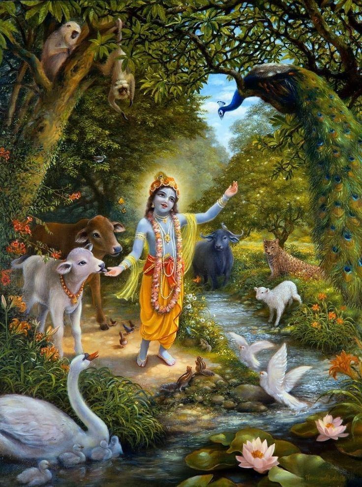kanha